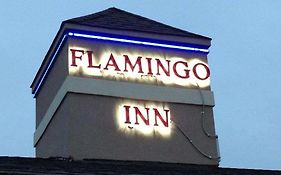 Flamingo Inn Elk City Ok